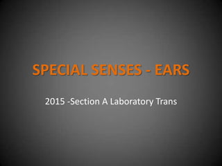 SPECIAL SENSES - EARS
 2015 -Section A Laboratory Trans
 