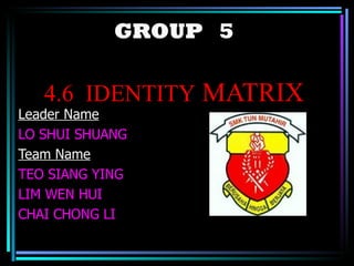 GROUP  5 4.6  IDENTITY  MATRIX Leader Name   LO SHUI SHUANG Team Name TEO SIANG YING LIM WEN HUI CHAI CHONG LI 