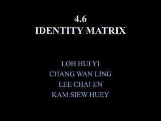 4.6IDENTITY MATRIX LOH HUI YI CHANG WAN LING LEE CHAI EN  KAM SIEW HUEY 