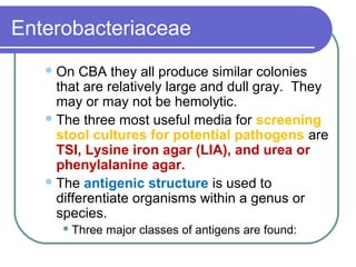 Enterobacteriaceae
    On  CBA they all produce similar colonies
     that are relatively large and dull gray. They
     may or may not be hemolytic.
    The three most useful media for screening
     stool cultures for potential pathogens are
     TSI, Lysine iron agar (LIA), and urea or
     phenylalanine agar.
    The antigenic structure is used to
     differentiate organisms within a genus or
     species.
      Three   major classes of antigens are found:
 