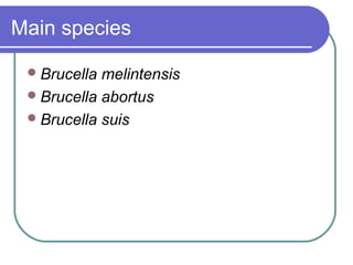 Main species

  Brucella melintensis
  Brucella abortus
  Brucella suis
 