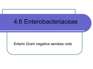 4.6 Enterobacteriaceae


Enteric Gram negative aerobes rods
 