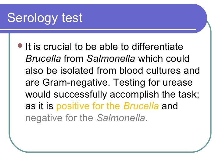Enterobacteriaceae & Brucella