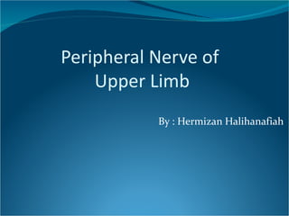 Peripheral Nerve of
    Upper Limb
           By : Hermizan Halihanafiah
 