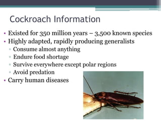 4 6 species role in ecosystems | PPT