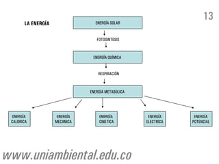 LA ENERGÍA ENERGÍA SOLAR
ENERGÍA QUÍMICA
ENERGÍA
CALORICA
ENERGÍA METABOLICA
ENERGÍA
POTENCIAL
ENERGÍA
ELECTRICA
ENERGÍA
CINETICA
ENERGÍA
MECANICA
FOTOSINTESIS
RESPIRACIÓN
13
www.uniambiental.edu.co
 