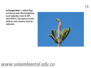 La Energía Solar: o radiante llega
en forma de ondas electromagnéticas
cuyas longitudes varían de 200
hasta 400 nm. Este espectro incluye
desde los rayos cósmicos hasta las
radioondas.
14
www.uniambiental.edu.co
 