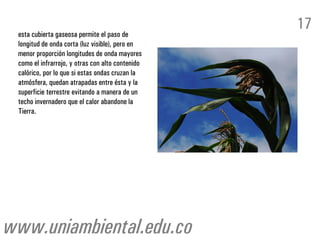 esta cubierta gaseosa permite el paso de
longitud de onda corta (luz visible), pero en
menor proporción longitudes de onda mayores
como el infrarrojo, y otras con alto contenido
calórico, por lo que si estas ondas cruzan la
atmósfera, quedan atrapadas entre ésta y la
superficie terrestre evitando a manera de un
techo invernadero que el calor abandone la
Tierra.
17
www.uniambiental.edu.co
 