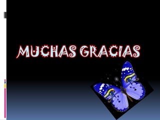 MUCHAS GRACIAS
 