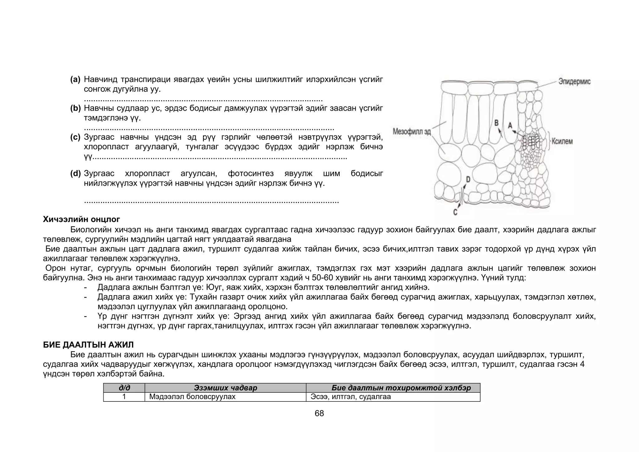 68
(a) Навчинд транспираци явагдах үеийн усны шилжилтийг илэрхийлсэн үсгийг
сонгож дугуйлна уу.
.......................................................................................................
(b) Навчны судлаар ус, эрдэс бодисыг дамжуулах үүрэгтэй эдийг заасан үсгийг
тэмдэглэнэ үү.
............................................................................................................
(c) Зургаас навчны үндсэн эд рүү гэрлийг чөлөөтэй нэвтрүүлэх үүрэгтэй,
хлоропласт агуулаагүй, тунгалаг эсүүдээс бүрдэх эдийг нэрлэж бичнэ
үү..............................................................................................................
(d) Зургаас хлоропласт агуулсан, фотосинтез явуулж шим бодисыг
нийлэгжүүлэх үүрэгтэй навчны үндсэн эдийг нэрлэж бичнэ үү.
..............................................................................................................
Хичээлийн онцлог
Биологийн хичээл нь анги танхимд явагдах сургалтаас гадна хичээлээс гадуур зохион байгуулах бие даалт, хээрийн дадлага ажлыг
төлөвлөж, сургуулийн мэдлийн цагтай нягт уялдаатай явагдана
Бие даалтын ажлын цагт дадлага ажил, туршилт судалгаа хийж тайлан бичих, эсээ бичих,илтгэл тавих зэрэг тодорхой үр дүнд хүрэх үйл
ажиллагааг төлөвлөж хэрэгжүүлнэ.
Орон нутаг, сургууль орчмын биологийн төрөл зүйлийг ажиглах, тэмдэглэх гэх мэт хээрийн дадлага ажлын цагийг төлөвлөж зохион
байгуулна. Энэ нь анги танхимаас гадуур хичээллэх сургалт хэдий ч 50-60 хувийг нь анги танхимд хэрэгжүүлнэ. Үүний тулд:
- Дадлага ажлын бэлтгэл үе: Юуг, яаж хийх, хэрхэн бэлтгэх төлөвлөлтийг ангид хийнэ.
- Дадлага ажил хийх үе: Тухайн газарт очиж хийх үйл ажиллагаа байх бөгөөд сурагчид ажиглах, харьцуулах, тэмдэглэл хөтлөх,
мэдээлэл цуглуулах үйл ажиллагаанд оролцоно.
- Үр дүнг нэгтгэн дүгнэлт хийх үе: Эргээд ангид хийх үйл ажиллагаа байх бөгөөд сурагчид мэдээлэлд боловсруулалт хийх,
нэгтгэн дүгнэх, үр дүнг гаргах,танилцуулах, илтгэх гэсэн үйл ажиллагааг төлөвлөж хэрэгжүүлнэ.
БИЕ ДААЛТЫН АЖИЛ
Бие даалтын ажил нь сурагчдын шинжлэх ухааны мэдлэгээ гүнзүүрүүлэх, мэдээлэл боловсруулах, асуудал шийдвэрлэх, туршилт,
судалгаа хийх чадваруудыг хөгжүүлэх, хандлага оролцоог нэмэгдүүлэхэд чиглэгдсэн байх бөгөөд эсээ, илтгэл, туршилт, судалгаа гэсэн 4
үндсэн төрөл хэлбэртэй байна.
д/д Эзэмших чадвар Бие даалтын тохиромжтой хэлбэр
1 Мэдээлэл боловсруулах Эсээ, илтгэл, судалгаа
 