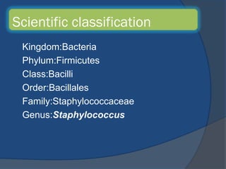Haemopilus,Staphylococous & Streptococcus | PPT