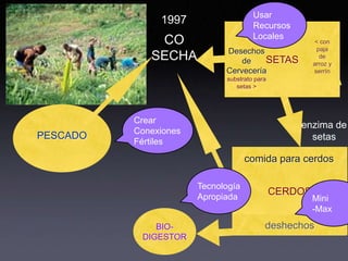 Usar
               1997                   Recursos
                                      Locales
              CO                                        < con
                             Desechos                    paja
             SECHA               de    SETAS              de
                                                       arroz y
                             Cervecería                serrín
                             substrato para
                                setas >




          Crear
                                                  enzima de
          Conexiones
PESCADO                                             setas
          Fértiles
                                    comida para cerdos

                       Tecnología
                       Apropiada
                                              CERDOS
                                                       Mini
                                                       -Max
              BIO-                        deshechos
           DIGESTOR
 