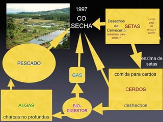 1997
                         CO       Desechos
                                                             < con
                                                              paja
                        SECHA         de    SETAS              de
                                                            arroz y
                                  Cervecería
                                  substrato para            serrín
                                     setas >




                                                       enzima de
      PESCADO
      PESCADO                                            setas

                         GAS           comida para cerdos


                                                   CERDOS


      ALGAS               BIO-                 deshechos
                       DIGESTOR
charcas no profundas
 