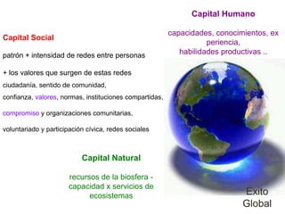 Capital Humano

                                                         capacidades, conocimientos, ex
Capital Social
                                                                    periencia,
patrón + intensidad de redes entre personas                 habilidades productivas ..

+ los valores que surgen de estas redes
ciudadanía, sentido de comunidad,
confianza, valores, normas, instituciones compartidas,

compromiso y organizaciones comunitarias,

voluntariado y participación cívica, redes sociales



                           Capital Natural

                      recursos de la biosfera -
                      capacidad x servicios de
                            ecosistemas                                      Éxito
                                                                             Global
 