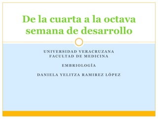 De la cuarta a la octava
semana de desarrollo
     UNIVERSIDAD VERACRUZANA
       FACULTAD DE MEDICINA

           EMBRIOLOGÍA

   DANIELA YELITZA RAMIREZ LÓPEZ
 