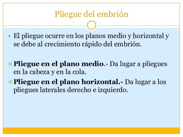 pliegue rápido pliegue rápido