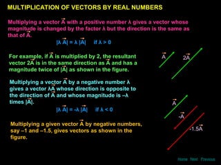 4-a-motion-in-a-plane-and-vectors.ppt for physics class 11 | PPT