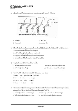 40. ฮอรโมนในพืชชนิดใด เกี่ยวของกับการตอบสนองตอแสงของปลายยอดพืช ดังในภาพ




     1. ออกซิเจน                                           2. ไซโทไคนิน
     3. จิบเบอเรลลิน                                       4. กรดแอบไซซิก

41. ขอใดถูกตองเมื่อเกิดการเปลี่ยนแปลงแทนที่จนเกิดสังคมสิ่งมีชีวิตขั้นสุดทายในพื้นที่ที่เคยทําไร แลวปลอยใหรกราง
    1. การเปลี่ยนแปลงแทนที่ที่เกิดขึ้นเปนแบบปฐมภูมิ
    2. สิ่งมีชีวิตที่เขามาอยูกอนมักจะเปนมอส และไลเคนส
    3. สังคมสิ่งมีชีวิตขั้นสุดทายที่เกิดขึ้นจะไมมีการเปลี่ยนแปลงอีก
    4. จํานวนสปชีสของไมยนตนในบริเวณนั้นจะเพิ่มขึ้นตามลําดับ
                                  ื

42. การอยูรวมกันของสิ่งมีชีวิตในขอใดที่ตางจากขออื่น
    1. โพรโทซัว อาศัยอยูในลําไสปลวก                              2. ผักตบชวาแขงขันกันแพรพนธุในสระน้ํา
                                                                                             ั
    3. กาฝากขึ้นอยูบนตนไมใหญ                                   4. นกพิราบและนกเขาแยงกันกินเมล็ดหญา

43. โซอาหารในขอใดจัดเปนโซอาหารแบบ ดีไทรทัส (detritus food chain)
    1. ตนชบา           หนอนบุง          นกกระจาบ
    2. หญา          เพลี้ย         แมงมุม
    3. สาหราย         หอยขม            เตา
    4. ขอนไม         ปลวก          กิ้งกา

44. ถานักวิทยาศาสตรใชเทคนิคทางพันธุวิศวกรรมสรางขาวโพดสปชีสใหมที่สามารถชักนําใหแบคทีเรียกลุมไรโซเบียม
    มาอาศัยอยูในรากได ประโยชนที่เห็นไดชดเจนของขางโพดพันธุใหมนี้ คือ
                                           ั
    1. ลดการใชปยไนโตรเจนในการเพาะปลูก
                  ุ                                  2. ไมตองใสปูนมารลในดินกอนทําการเพาะปลูก
    3. ไมตองไถพรวนดินกอนทําการเพาะปลูก            4. ลดการใชสารกําจัดศัตรูพืชในการเพาะปลูก




                                                       Biology. 4-9
 