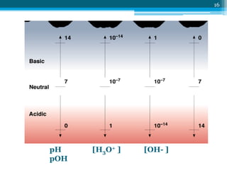 16




pH    [H3O+ ]   [OH- ]
pOH
 