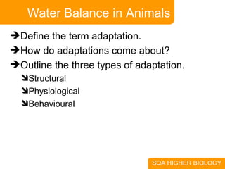 Water Balance in Animals Define the term adaptation. How do adaptations come about? Outline the three types of adaptation. Structural Physiological Behavioural 
