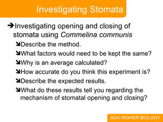 Investigating Stomata Investigating opening and closing of stomata using  Commelina communis Describe the method. What factors would need to be kept the same? Why is an average calculated? How accurate do you think this experiment is? Describe the expected results. What do these results tell you regarding the mechanism of stomatal opening and closing? 