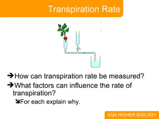 Transpiration Rate How can transpiration rate be measured? What factors can influence the rate of transpiration? For each explain why. 