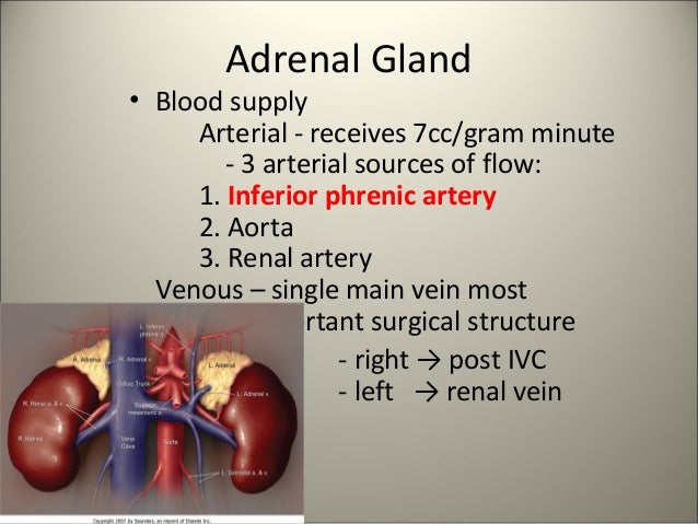 Adrenal gland Surgery(1)