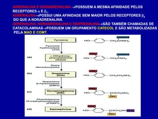 ADRENALINA E NORADRENALINA POSSUEM A MESMA AFINIDADE PELOS
RECEPTORES  E 1.
ADRENALINAPOSSUI UMA AFINIDADE BEM MAIOR PELOS RECEPTORES 2
DO QUE A NORADRENALINA.
ADRENALINA, NORADRENALINA E ISOPRENALINASÃO TAMBÉM CHAMADAS DE
CATACOLAMINASPOSSUEM UM GRUPAMENTO CATECOL E SÃO METABOLIZADAS
PELA MAO E COMT.
 