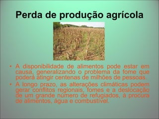 Perda de produção agrícola A disponibilidade de alimentos pode estar em causa, generalizando o problema da fome que poderá atingir centenas de milhões de pessoas. A longo prazo, as alterações climáticas podem gerar conflitos regionais, fomes e a deslocação de um grande número de refugiados, à procura de alimentos, água e combustível. 