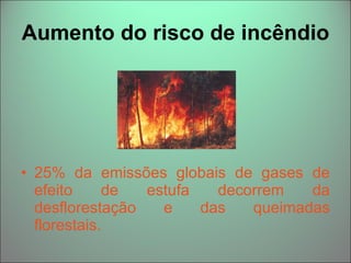 Aumento do risco de incêndio 25% da emissões globais de gases de efeito de estufa decorrem da desflorestação e das queimadas florestais. 