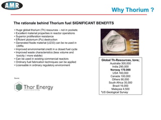 Panel Discussion -  Thorium: the future of energy?