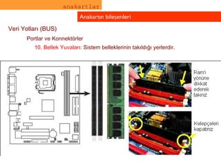 anakartlar Anakartın bileşenleri Veri Yolları (BUS) Portlar ve Konnektörler 10. Bellek Yuvaları:   Sistem belleklerinin takıldığı yerlerdir. 