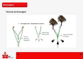 Técnicas de Ancoragem
Ancoragem
 