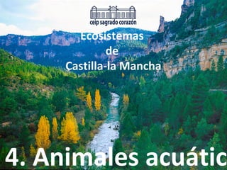 Ecosistemas
de
Castilla-la Mancha
4. Animales acuátic
 