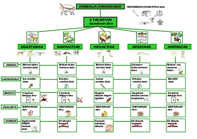 external image 4-animalia-ornodunak-a3-zubia-santillana-lh3-1-638.jpg?cb=1353339763