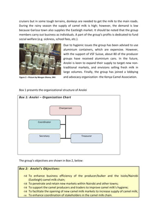 Anolei Camel Milk Cooperative | PDF