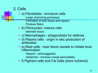 2. Cells a) Fibroblasts - immature cells Large, branching processes Formation of new tissue and repairs Produce fibers b) Fibrocyctes -mature cells Maintain tissue c) Macrophages - phagocytosis for defense d) Plasma cells - origin in wbc production of antibodies e) Mast cells - near blood vessels to initiate local inflammation Heparin - anticoaggulant Histamine - increase vessel permeability f) Pigment cells and Fat Cells (store nutrients) 