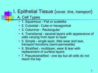 I. Epithelial Tissue ( cover, line, transport ) A. Cell Types 1. Squamous - Flat or scalelike 2. Cuboidal - Cube or hexagonical 3. Columnar - Rectangular 4. Transitional - several layers with appearance of cells varying from layer to layer 5. Simple - single layer, little wear and tear, transport functions (semi-permeable) 6. Stratified - multilayer, wear & tear with replacement of surface layers 7. Pseudostratified - one lay but all cells do not reach the top 