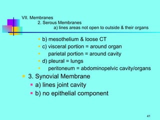 VII. Membranes 2. Serous Membranes a) lines areas not open to outside & their organs b) mesothelium & loose CT c) visceral portion = around organ parietal portion = around cavity d) pleural = lungs peritoneum = abdominopelvic cavity/organs 3. Synovial Membrane a) lines joint cavity b) no epithelial component 