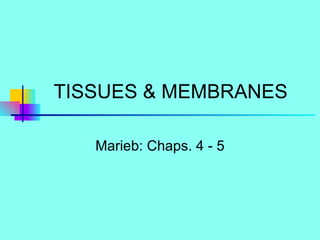 TISSUES & MEMBRANES Marieb: Chaps. 4 - 5 
