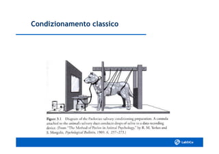 Condizionamento classicoCondizionamento classico
 
