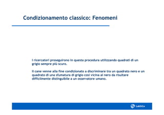 Condizionamento classico: FenomeniCondizionamento classico: Fenomeni
I ricercatori proseguirono in questa procedura utilizzando quadrati di unI ricercatori proseguirono in questa procedura utilizzando quadrati di un
grigio sempre più scuro.grigio sempre più scuro.
Il cane venne alla fine condizionato a discriminare tra un quadrato nero e unIl cane venne alla fine condizionato a discriminare tra un quadrato nero e un
quadrato di una sfumatura di grigio così vicina al nero da risultarequadrato di una sfumatura di grigio così vicina al nero da risultare
difficilmente distinguibile a un osservatore umano.difficilmente distinguibile a un osservatore umano.
 