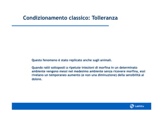 Condizionamento classico: TolleranzaCondizionamento classico: Tolleranza
Questo fenomeno è stato replicato anche sugli animali.Questo fenomeno è stato replicato anche sugli animali.
Quando ratti sottoposti a ripetute iniezioni di morfina in un determinatoQuando ratti sottoposti a ripetute iniezioni di morfina in un determinato
ambiente vengono messi nel medesimo ambiente senza ricevere morfina, essiambiente vengono messi nel medesimo ambiente senza ricevere morfina, essi
rivelano un temporaneo aumento (e non una diminuzione) della sensibilità alrivelano un temporaneo aumento (e non una diminuzione) della sensibilità al
dolore.dolore.
 
