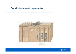 Condizionamento operanteCondizionamento operante
 