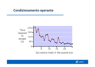 Condizionamento operanteCondizionamento operante
 