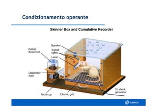 Condizionamento operanteCondizionamento operante
 
