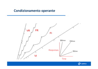 Condizionamento operanteCondizionamento operante
 