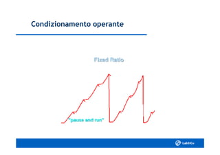 Condizionamento operanteCondizionamento operante
 