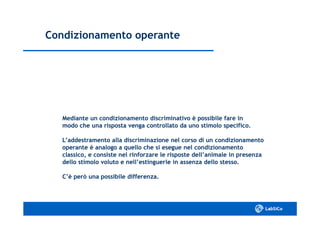 Condizionamento operanteCondizionamento operante
Mediante un condizionamento discriminativo è possibile fare inMediante un condizionamento discriminativo è possibile fare in
modo che una risposta venga controllato da uno stimolo specifico.modo che una risposta venga controllato da uno stimolo specifico.
L’addestramento alla discriminazione nel corso di un condizionamentoL’addestramento alla discriminazione nel corso di un condizionamento
operante è analogo a quello che si esegue nel condizionamentooperante è analogo a quello che si esegue nel condizionamento
classico, e consiste nel rinforzare le risposte dell’animale in presenzaclassico, e consiste nel rinforzare le risposte dell’animale in presenza
dello stimolo voluto e nell’estinguerle in assenza dello stesso.dello stimolo voluto e nell’estinguerle in assenza dello stesso.
C’è però una possibile differenza.C’è però una possibile differenza.
 