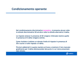 Condizionamento operanteCondizionamento operante
Nel condizionamento discriminativoNel condizionamento discriminativo successivosuccessivo, si presenta alcune volte, si presenta alcune volte
lo stimolo discriminativo SD ed altre volte lo stimolo alternativo Slo stimolo discriminativo SD ed altre volte lo stimolo alternativo S--delta.delta.
Le risposte emesse in presenza di SD vengono rinforzate mentre quelleLe risposte emesse in presenza di SD vengono rinforzate mentre quelle
in presenza di Sin presenza di S--delta vengono estinte.delta vengono estinte.
Come risultato si ottiene un elevato livello di risposte in presenza diCome risultato si ottiene un elevato livello di risposte in presenza di
SD e scarse o nulle risposte a SSD e scarse o nulle risposte a S--delta.delta.
Piccioni addestrati in questa maniera arrivano a mostrare il loro mancatoPiccioni addestrati in questa maniera arrivano a mostrare il loro mancato
gradimento per Sgradimento per S--delta allontanandosi dal punto in cui viene presentatodelta allontanandosi dal punto in cui viene presentato
tale stimolo.tale stimolo.
 